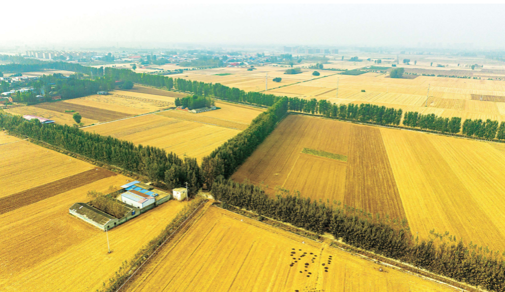 滁州市农业现代化转型与乡村振兴战略实施报告